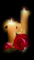 /album/fotogallerij/a2candles-png/