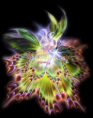 /album/fotogallerij/a2d65f6b8-png/