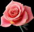 /album/fotogallerij/a2939d4a717f3-png/
