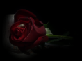 /album/fotogallerij/a703e141a-png/